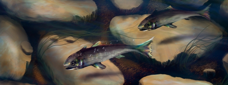 Digital Painting Digital Painting